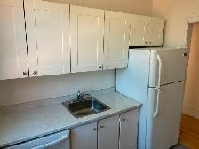 3 Bedroom Centretown Apartment for Rent (353 Frank St) - Photo 6