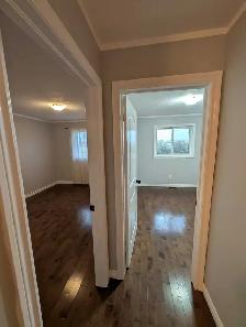 Rental House - Photo 6