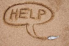EMERGENCY HELP FOR RENT
