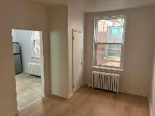 Sandy Hill Bachelor/Studio Apartment for Rent (257 Daly Ave) - Photo 3
