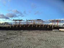 labourers required - Photo 4