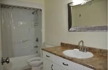 2 bedroom ground level basement suite. Available December 1st. - Photo 6