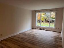 Newly Renovated 2 Bedroom Apartment! Truro - Photo 2