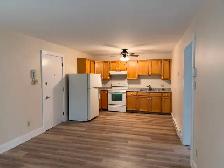 Newly Renovated 2 Bedroom Apartment! Truro - Photo 3
