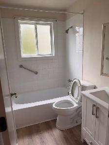 Newly Renovated 2 Bedroom Apartment! Truro - Photo 4