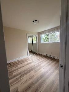Newly Renovated 2 Bedroom Apartment! Truro - Photo 5
