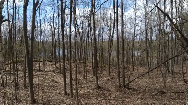 4.95 acres for sale - Gatineau Hills 25 min from Ottawa