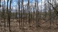 4.95 acres for sale - Gatineau Hills 25 min from Ottawa