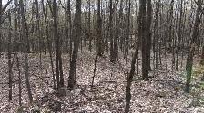 4.95 acres for sale - Gatineau Hills 25 min from Ottawa - Photo 2