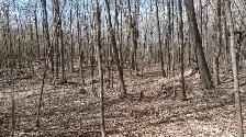 4.95 acres for sale - Gatineau Hills 25 min from Ottawa - Photo 3