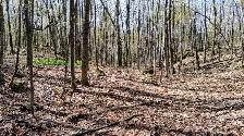 4.95 acres for sale - Gatineau Hills 25 min from Ottawa - Photo 4
