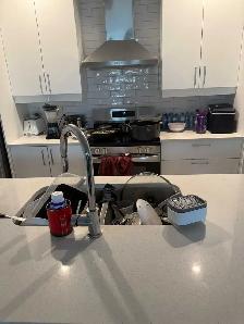 NorthShine Home Cleaning Services - Photo 2