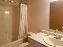 175 Robson Drive - Photo 12