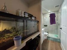 Newly Built Legal One-Bedroom Basement Suite – Charlesworth - Photo 2