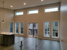 House for Rent - Downtown Camrose - Photo 3