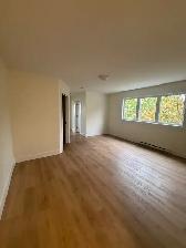 3 Mitchell Street - 8 Apartment for Rent - Photo 2