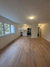 3 Mitchell Street - 8 Apartment for Rent - Photo 3