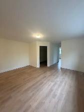 3 Mitchell Street - 8 Apartment for Rent - Photo 4