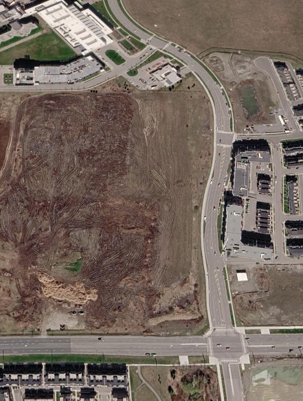 Farmland for Rent - 11 Acres at Hwy 7 & Bur Oak, Markham