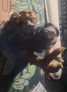Wizard Figurine - Photo 2