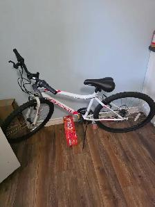 Supercycle Mountain Bike-$75