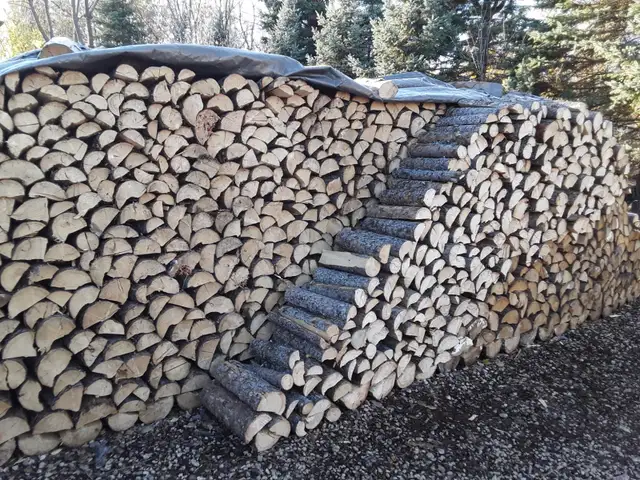 LAC DU BONNET Spruce Firewood Lady