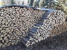 LAC DU BONNET Spruce Firewood Lady