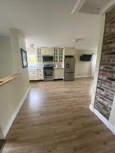 Beautiful 1-Bedroom Apartment for Rent – Berwick, NS - Photo 3