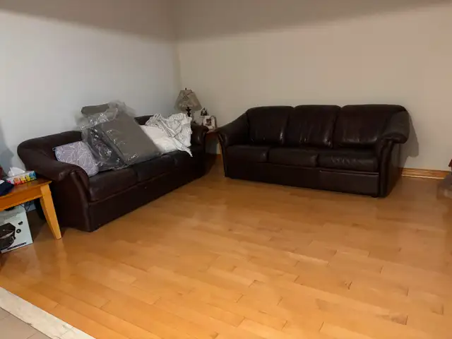 Leather sofas