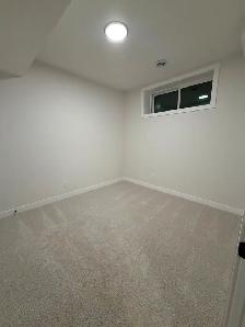 Legal Basement Suite, Brand New, 1 Bed 1 Bath, Furnished or Unfu - Photo 4
