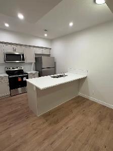 Legal Basement Suite, Brand New, 1 Bed 1 Bath, Furnished or Unfu - Photo 9