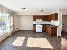 Affordable, Cozy 1-Bedroom Apartment — $717.85   Hydro - Photo 4