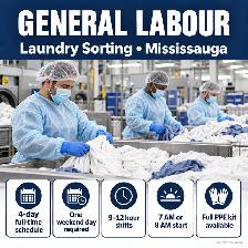 General Labour – Laundry Sorting – Mississauga - Photo 2