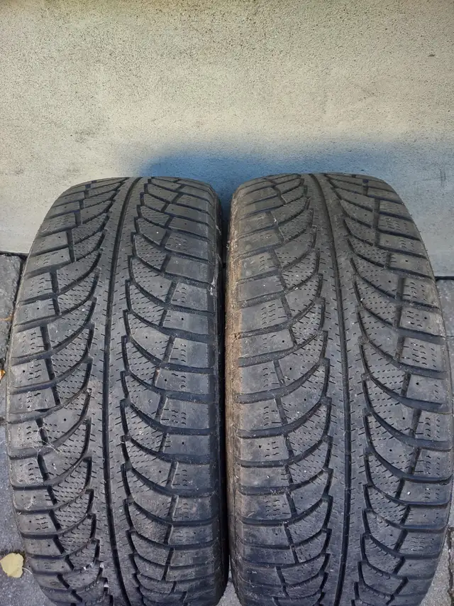 235-55R18x2 pneus hiver Champiro