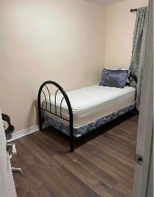 PRIVATE SUNNY RM IN CLEAN / QUIET HOME.WESTON RD/SHEPPARD - Photo 3