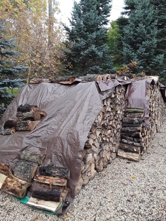 LAC DU BONNET Poplar Firewood Lady