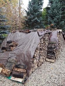 LAC DU BONNET Poplar Firewood Lady