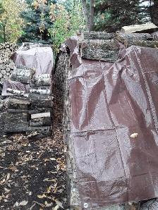 LAC DU BONNET Poplar Firewood Lady - Photo 3