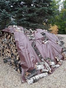 LAC DU BONNET Poplar Firewood Lady - Photo 4