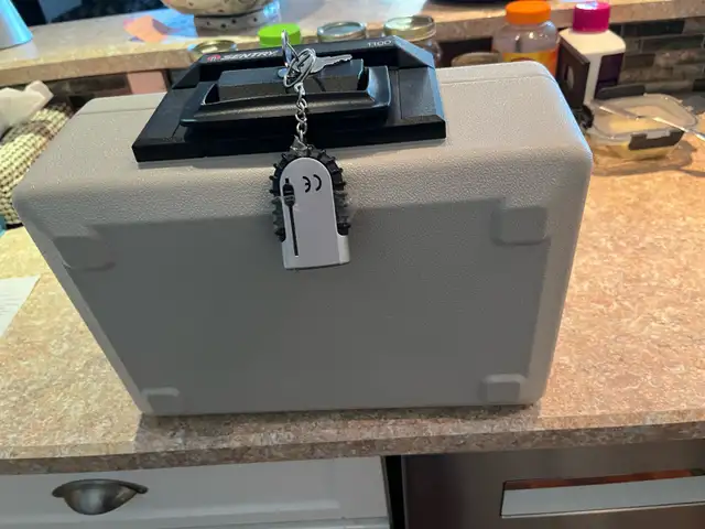 Portable safe