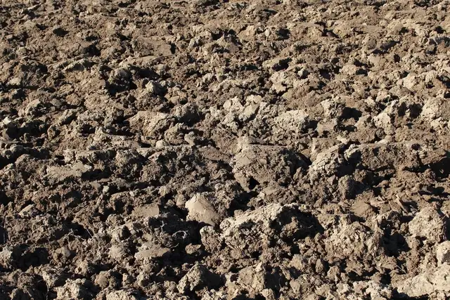 Dark Screened Topsoil for Lawn Repair & Top Dressing