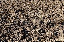 Dark Screened Topsoil for Lawn Repair & Top Dressing