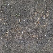 Dark Screened Topsoil for Lawn Repair & Top Dressing - Photo 2