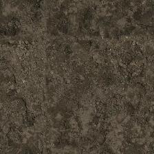 Dark Screened Topsoil for Lawn Repair & Top Dressing - Photo 3