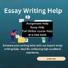 Essay Help | Nursing, Law, Business, Assignment help, Sociology