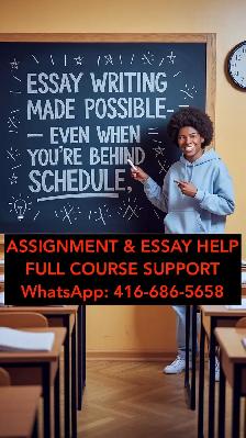 Essay Help, Psychology, Nursing, Social Work, Assignment helper