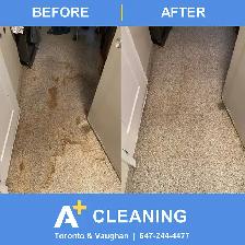 Carpet Cleaning — From $50 per room - Photo 4