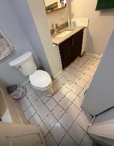 2 bedroom 1 bath shared kitchen basement for rent , Nov 1st - Photo 4