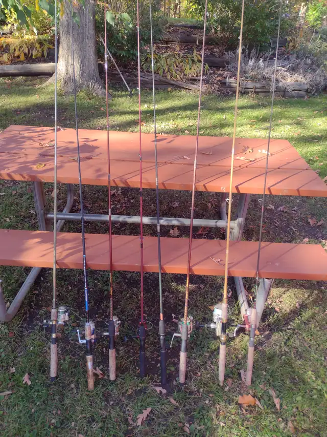 7 fishing rods and reels and 1 extra fishing rod