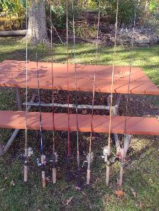 7 fishing rods and reels and 1 extra fishing rod